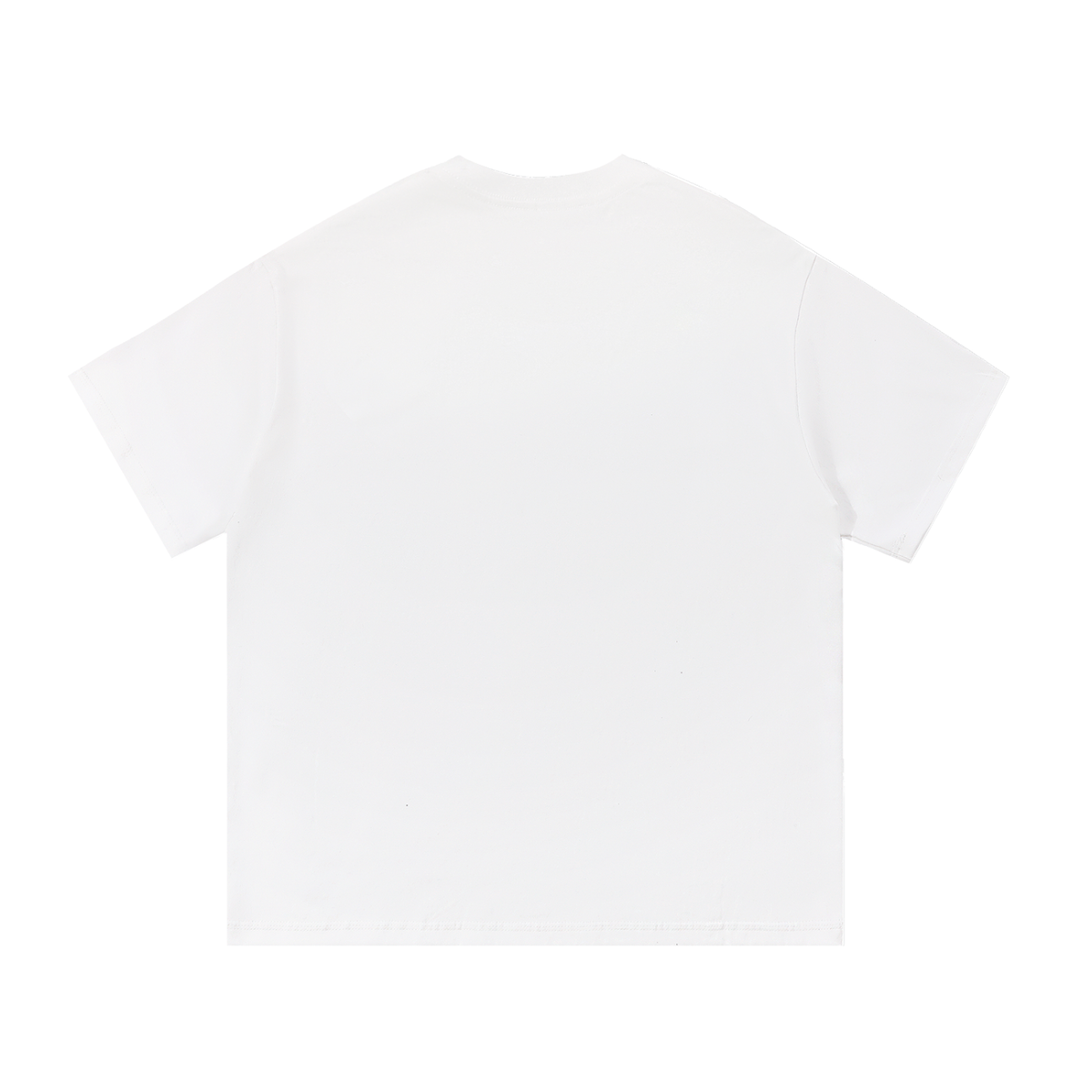 SOBRIETY TEE